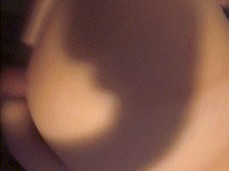 #doggystyle #girlfriend gif