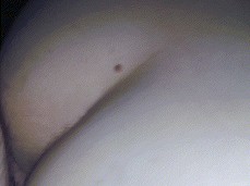 Cumming on that ass till nut gif