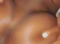 Lick it from the front,  ya from the back gif