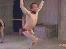 did that  makes him tap cbt ballbust quit gif