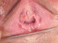 #pussy #spread pussy gif