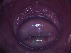 #cervix deep #masturbation gif