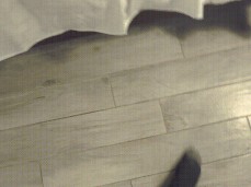 Addee Kate Fan 3 gif