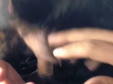 E girl deep throat target gif