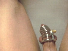 Her sweet pussy makes his cock strain in its cage gif