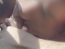 Sucking dick gif