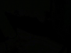 Riding with my "  Dildo gif