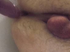 Hungry cock hole gif