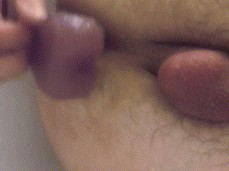 Hungry Cock Hole gif