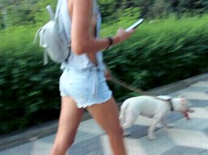 Sexy jeans shorts pitbull walkout gif