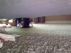 Getting under bed gif
