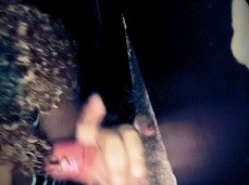 amateur gloryhole threesome gif