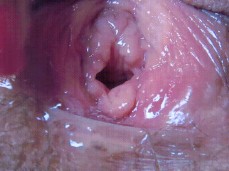 dominatrix smothering gif