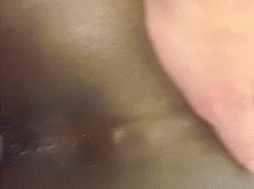 Wet Ass Pussy gif