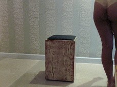 Work that ass bae 3 gif