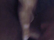 Cheating GF first Anal from Homeboy gif