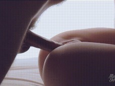 mylittleswallow intimate- penetration gif