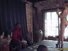 Skylar Vox stripper for  party with  studs 02 gif