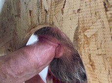 la marcha del camionero gif