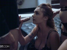 Training a new plaything gif