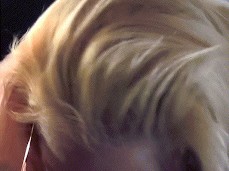 French rose métisse suck Dick a car8 gif