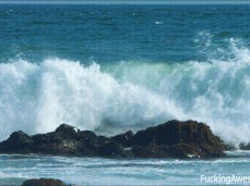 Samantha Rone tiny bikini  on beach 01 gif