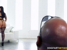Dogfart gif