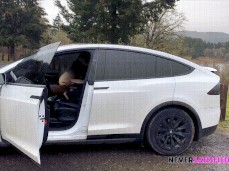 sex in a car gif