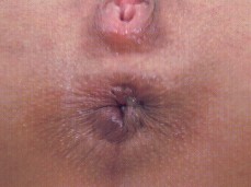 ojalá fueras tú gif