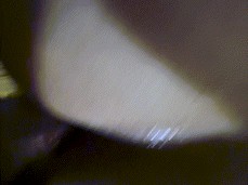 BJKitty - Hard Anal GIF gif