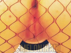 Approach of Fish Net gif