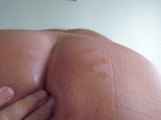 Préparation de la rondelle !!! gif