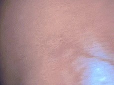 JASMINE CATRON M gif