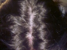 Pushing past the barrier gif