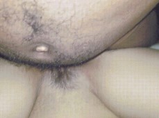 i like bear cock gif