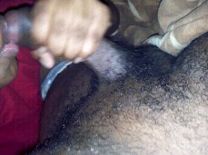 i like bear cock gif