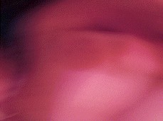 Fucking Myself with Ombre Hombre gif