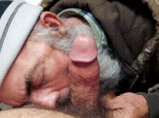 i like bear cock gif