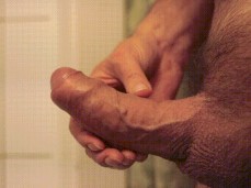 i like bear cock gif