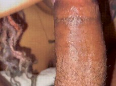 i like bear cock gif