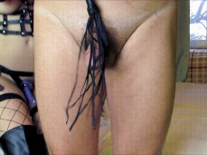 Cock comes out to play with bullwhip gif