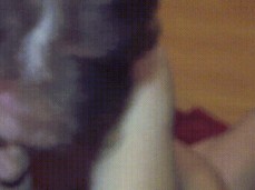 mature riding hard gif