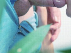 out of frame erotic blowjob finishes with sucking cum off dick gif