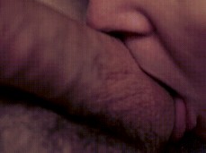 i like bear cock gif