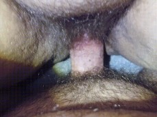 i like bear cock gif