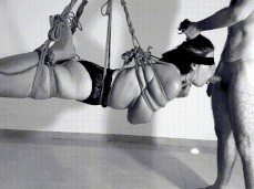 suspended blowjob gif