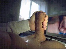 i like bear cock gif