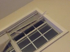 Helena Hard Ride gif