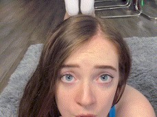 Bunny gif