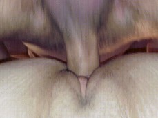 i like bear cock gif